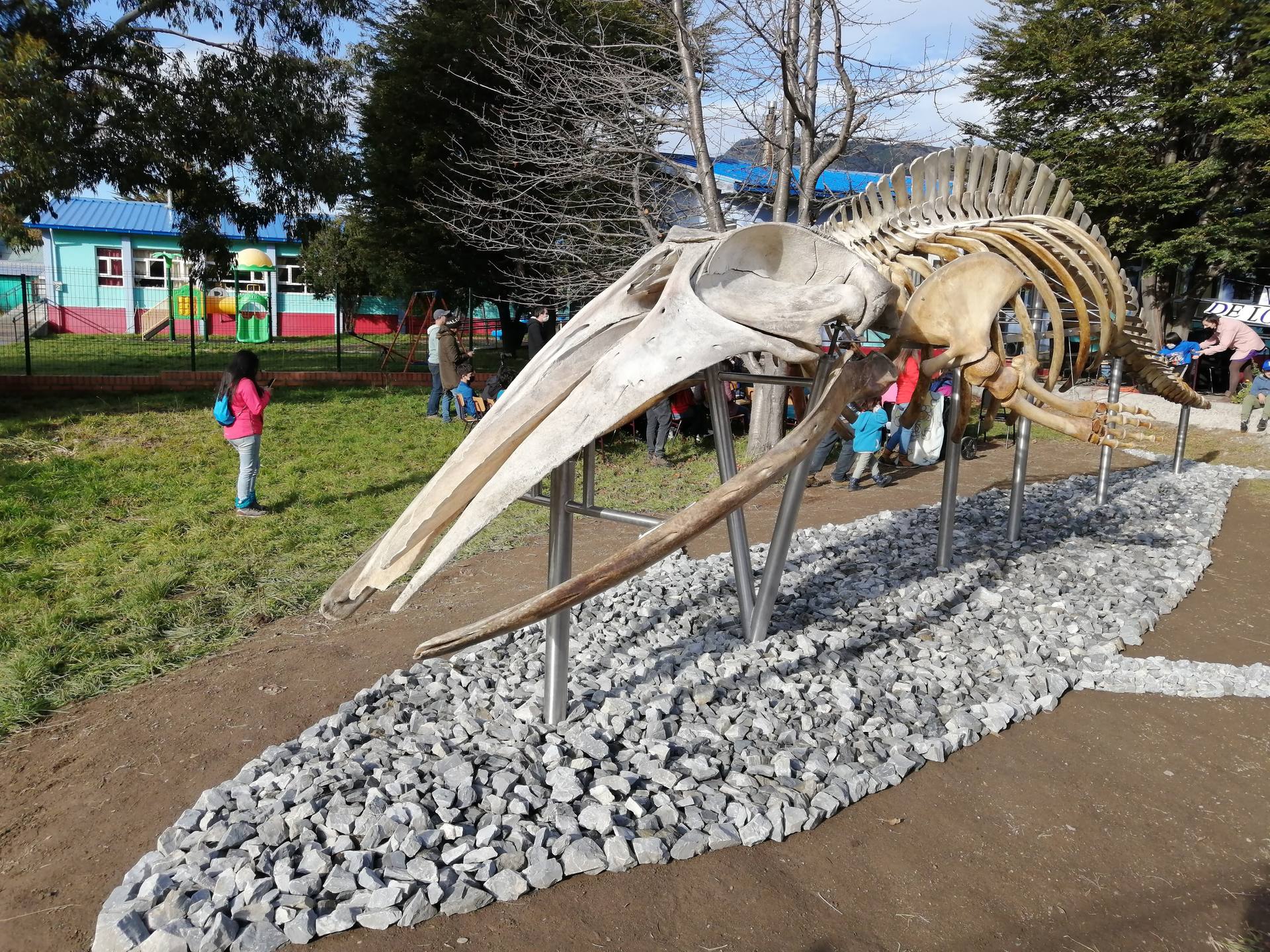Le squelette de la baleine de Sei installé devant l'école de Puerto Río Tranquilo